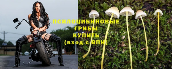 эйфоретик Арсеньев