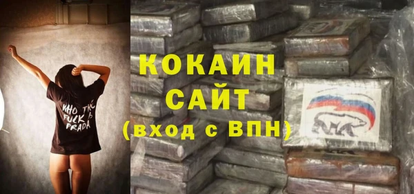 эйфоретик Арсеньев