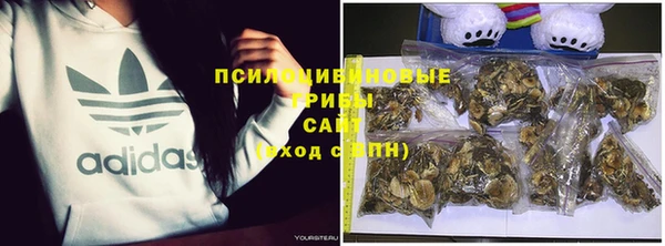 эйфоретик Арсеньев