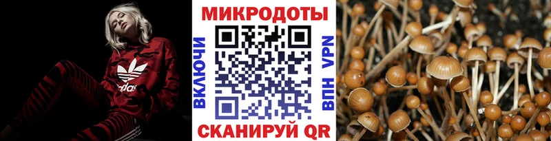 что такое   Крым  OMG tor  маркетплейс какой сайт  Псилоцибиновые грибы Psilocybe 